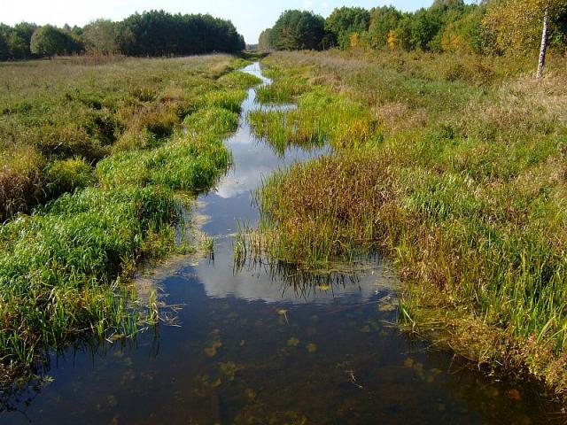 2008_1005Kampinos0133