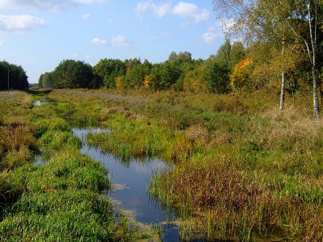 2008_1005Kampinos0134