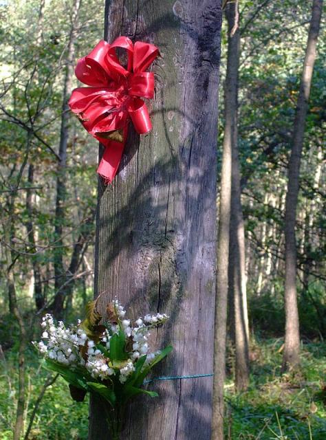 2008_1005Kampinos0146