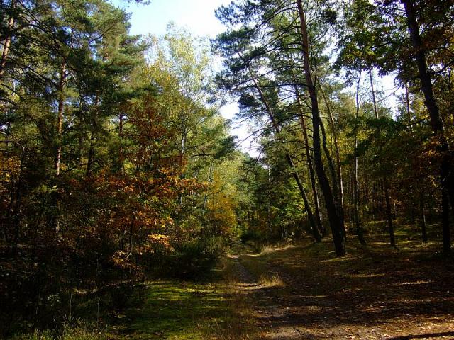 2008_1005Kampinos0149