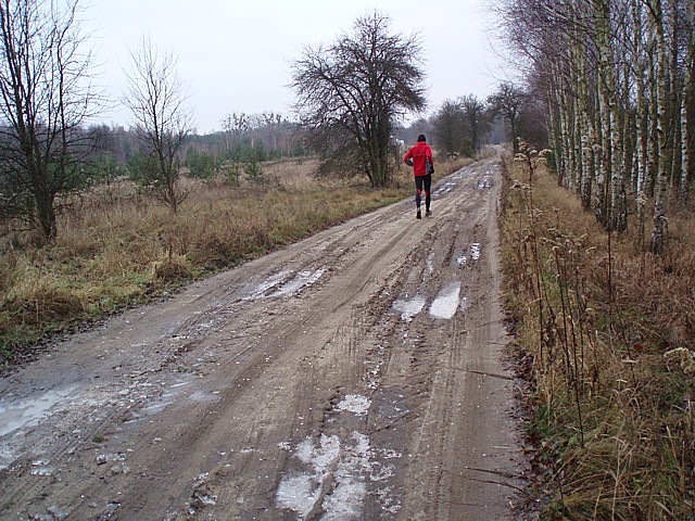 2008_1213mpusz015.jpg