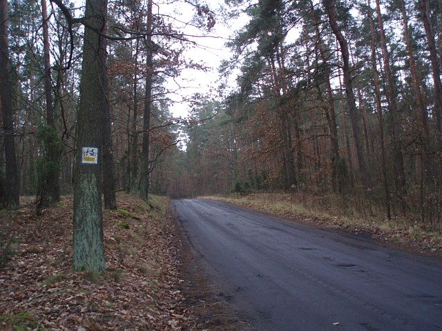 2008_1213mpusz022.jpg