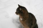 2009_0224Puszcza0135.JPG