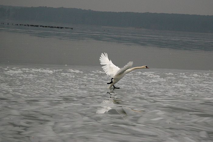 2008_0221Lublin0066