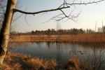 2008_0331MazParKraj0067