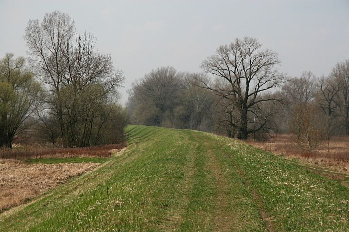 2008_0407Wisla0131