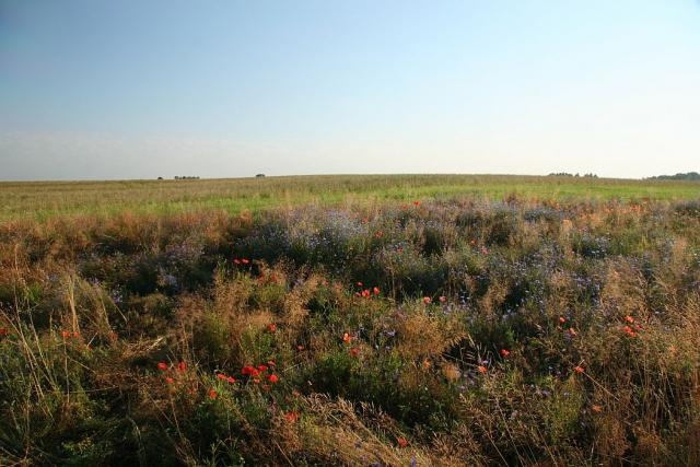 2008_0801Mazury027