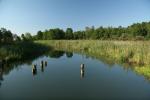 2008_0801Mazury067