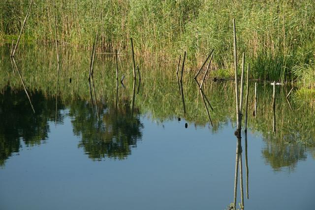 2008_0801Mazury068