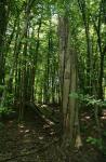 2008_0801Mazury086