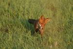 2008_0801Mazury012