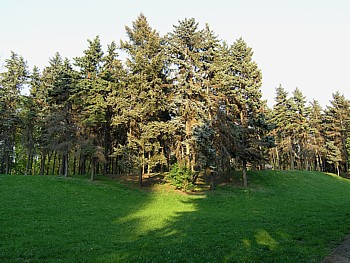 kliknij, aby powikszy
