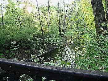 kliknij, aby powikszy