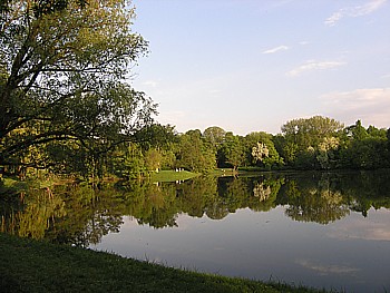 kliknij, aby powikszy
