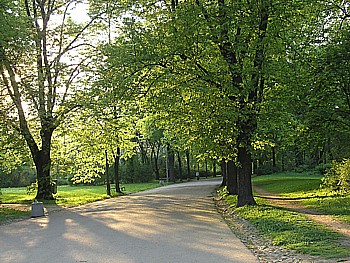 kliknij, aby powikszy