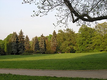 kliknij, aby powikszy