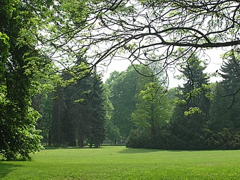 kliknij, aby powikszy