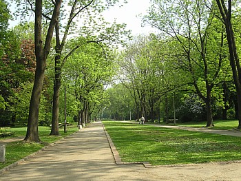 kliknij, aby powikszy