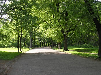 kliknij, aby powikszy