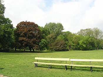 kliknij, aby powikszy