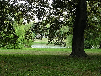 kliknij, aby powikszy