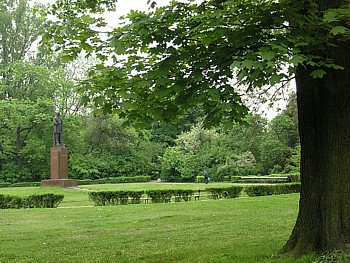 kliknij, aby powikszy