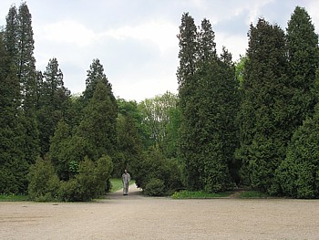 kliknij, aby powikszy
