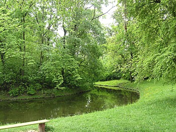 kliknij, aby powikszy