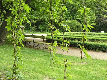 kliknij, aby powikszy