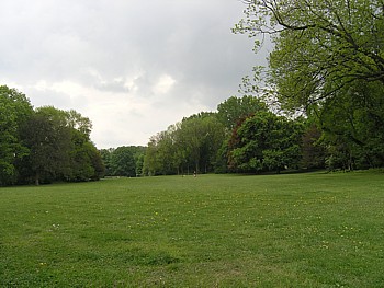 kliknij, aby powikszy