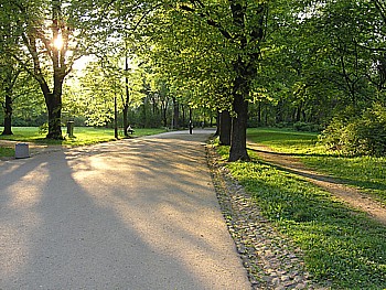 kliknij, aby powikszy