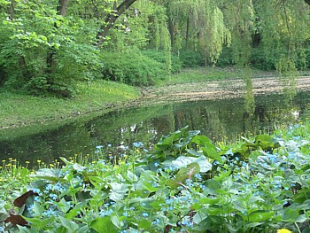 kliknij, aby powikszy