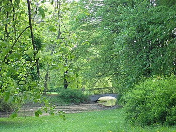kliknij, aby powikszy
