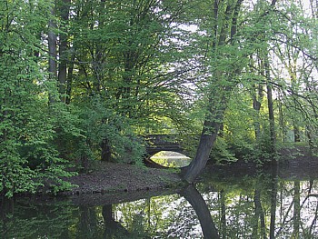 kliknij, aby powikszy