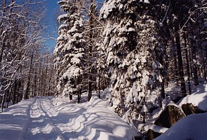kliknij, aby powikszy