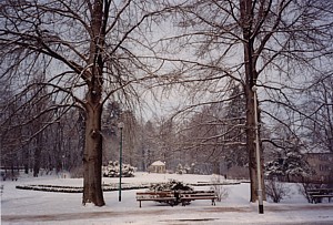 kliknij, aby powikszy