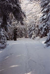 kliknij, aby powikszy