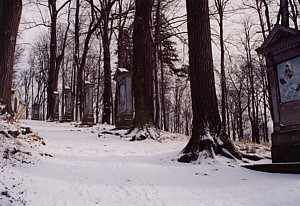 kliknij, aby powikszy