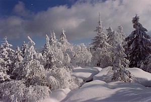 kliknij, aby powikszy