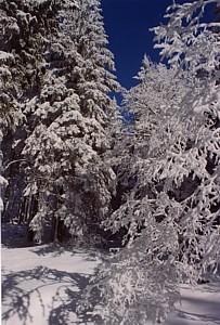 kliknij, aby powikszy