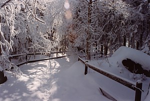 kliknij, aby powikszy