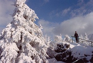 kliknij, aby powikszy